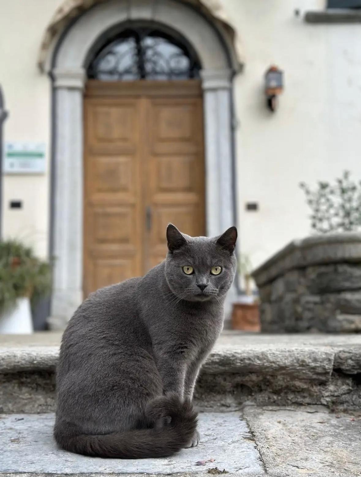 B&B La Dolce Casa Lago Di Como Cremia Eksteriør bilde