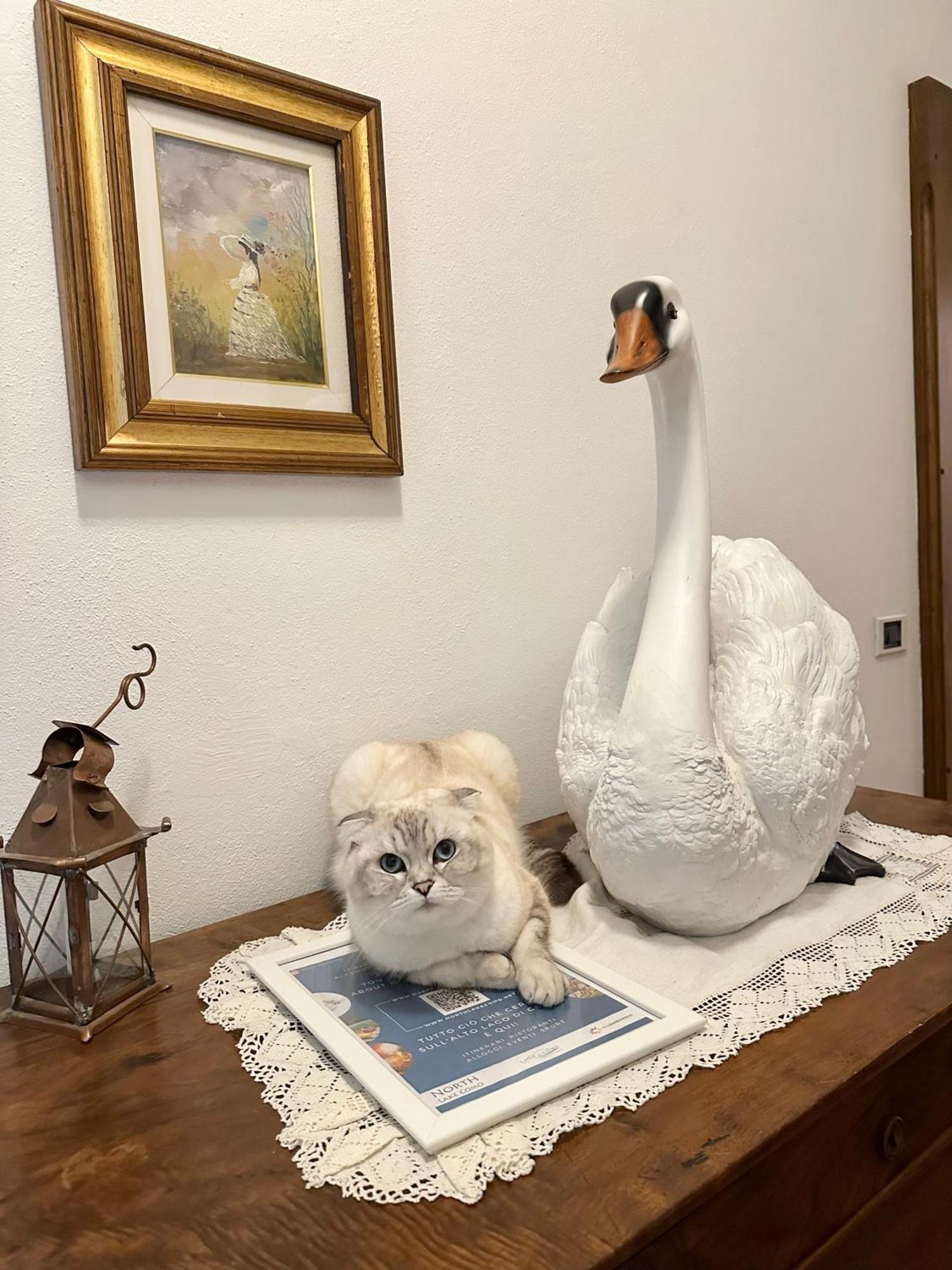 B&B La Dolce Casa Lago Di Como Cremia Eksteriør bilde