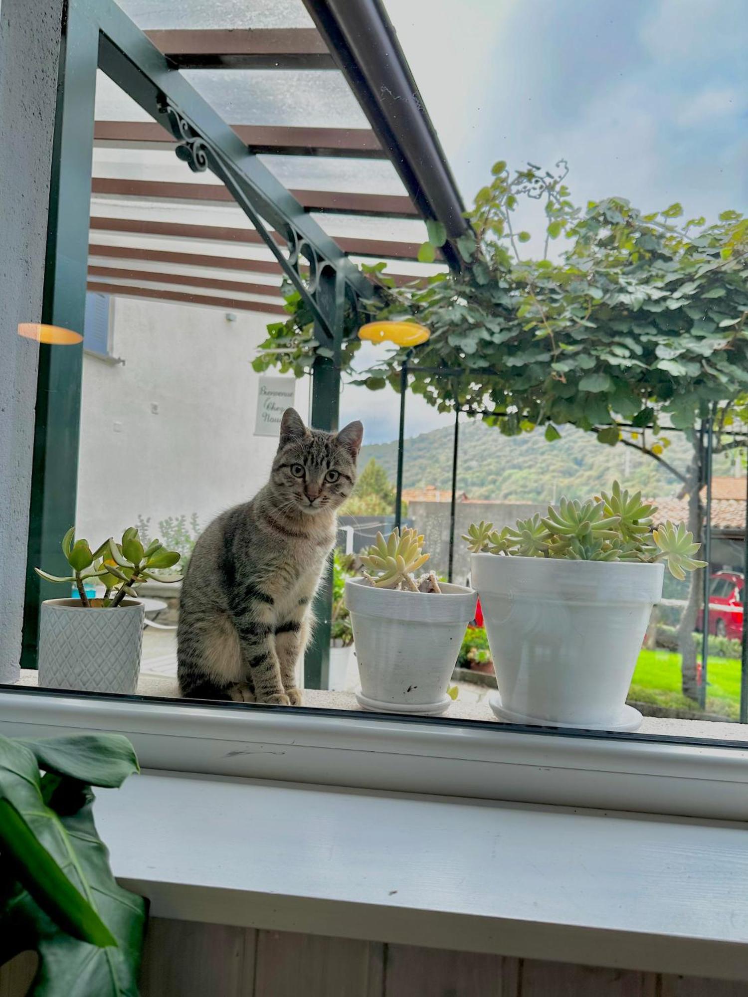 B&B La Dolce Casa Lago Di Como Cremia Eksteriør bilde